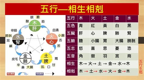 五行生剋制化|五行生剋(哲學理論):實質,特性,生克,劃分,物象歸類,相互關係,五行。